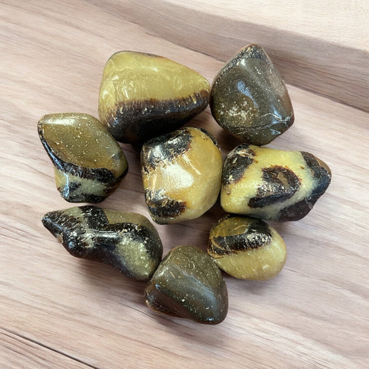 Septarian