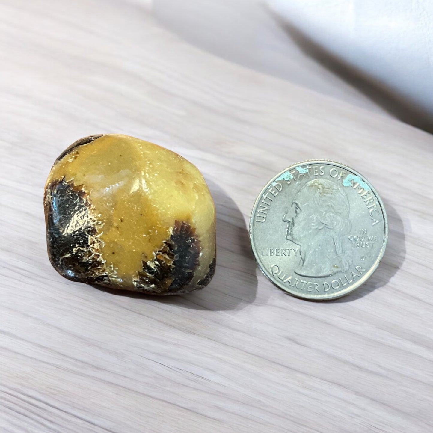 Septarian